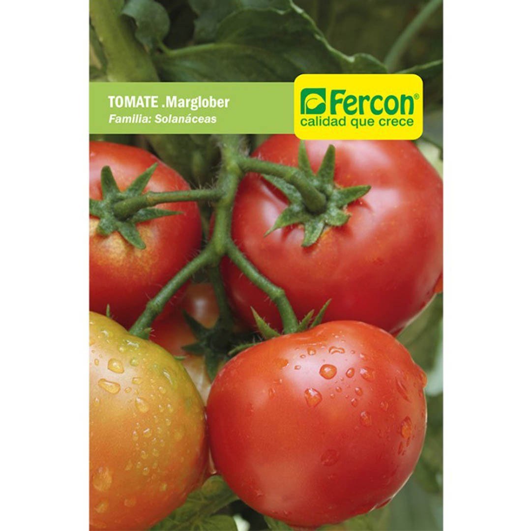 Semillas de Tomate Marglobe Fercon: sobre de semillas Fercon sobre fondo blanco, vista de frente