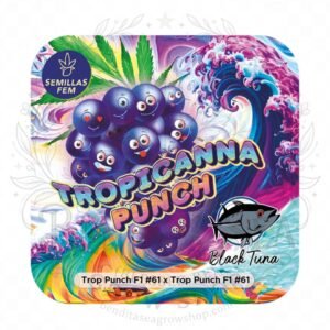 semillas Tropicanna Punch: cogollo de Tropicanna Punch con la marca de agua de Bendita Sea