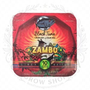 semillas Zambo: cogollo de Zambo con la marca de agua de Bendita Sea