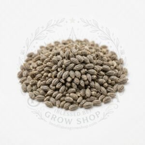 Semillas de Zanahoria Royal Chantenay Fercon: sobre sobre fondo blanco con la marca de agua de Bendita Sea