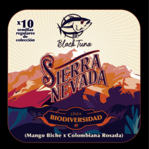 Semilla de marihuana Sierra Nevada de Black Tuna - Foto 1