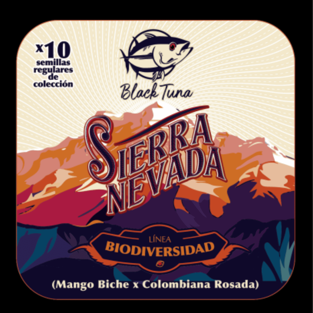 Semilla de marihuana Sierra Nevada de Black Tuna - Foto 1