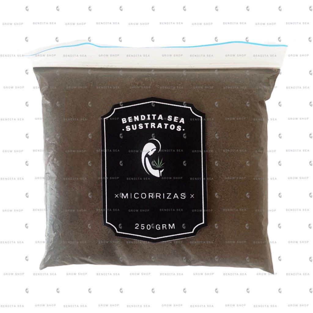micorrizas