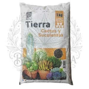 Tierra Cactus y Suculentas Foto 1