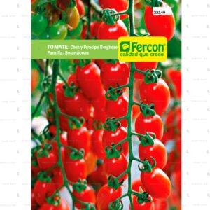 Tomate Cherry