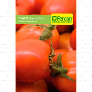 Tomate Santa