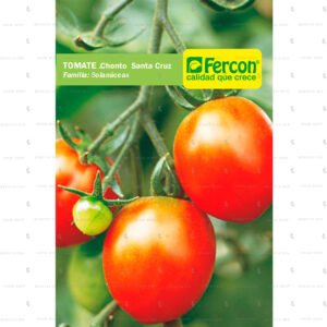 Tomate Chonto