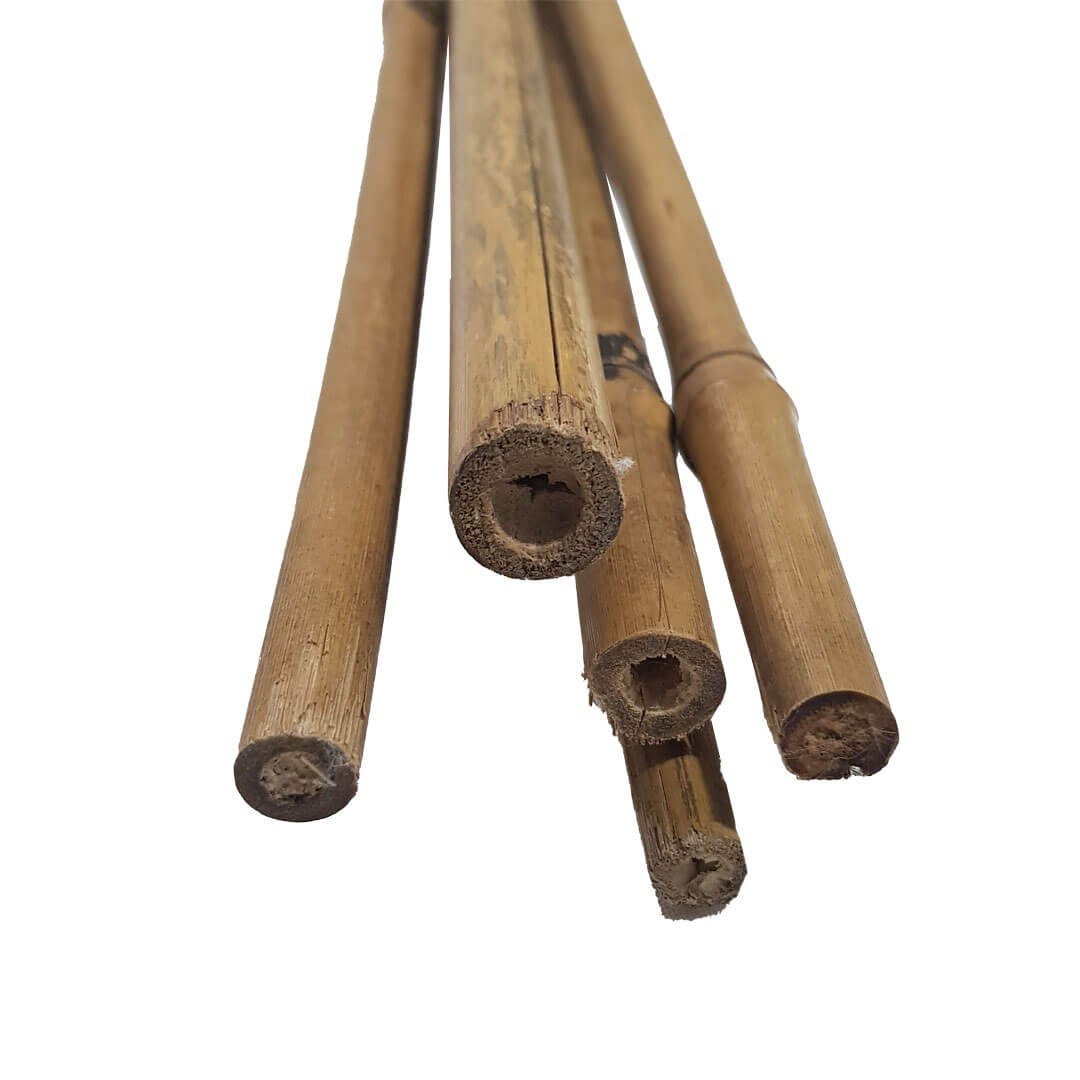 Detalle de las puntas de varias estacas de bambú