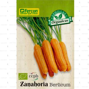 Semillas Zanahoria Berlicum